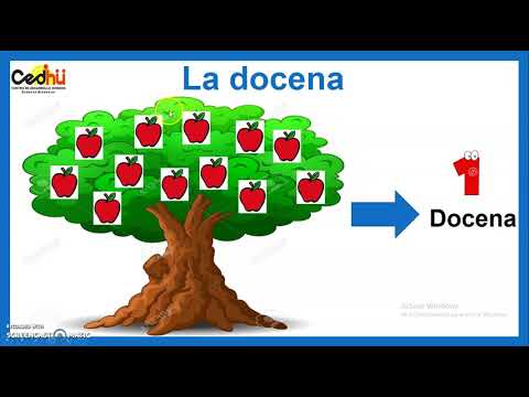 Video: ¿Qué palabra de siete letras contiene docenas?