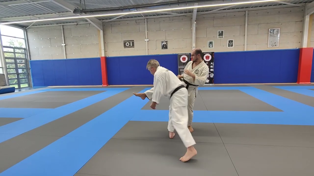 Applications par 2 KATA YAMATO SANDAN karaté-do. Ecole YAMATO KAN