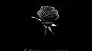 Batu nisan - Cahaya bidadari ( status wa )