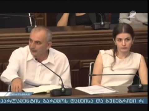 საქართველოს პარლამენტის გარემოს დაცვისა და ბუნებრივი რესურსების კომიტეტში ასოციაცია ჭიათურელთა კავში