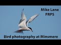 Bird Photography at RSPB Minsmere