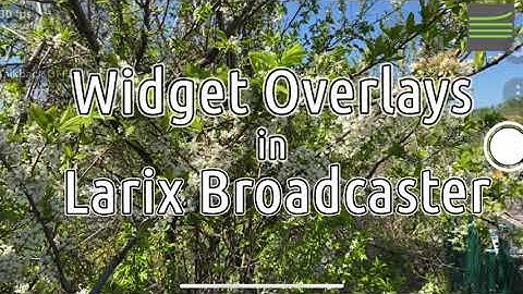 Web overlays in Larix Broadcaster - teaser