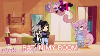 I hate rats☹