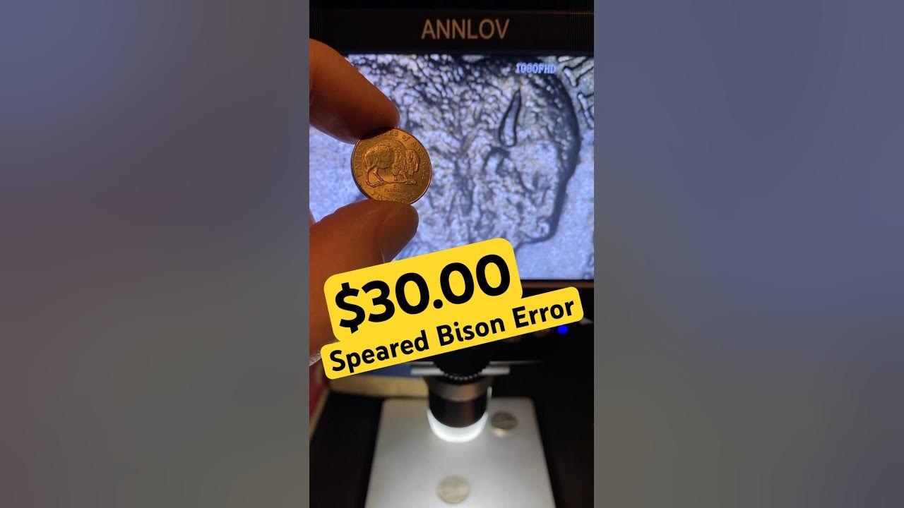 $30.00 For This Nickel! Speared Bison #youtubeshorts #nickel #coin #buffalo #bison $30.00 For This Nickel! Speared Bison #youtubeshorts #nickel #coin #buffalo #bison