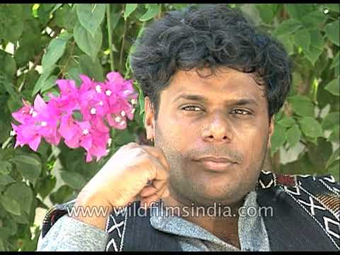 Ashish Vidyarthi We are not making European cinema here