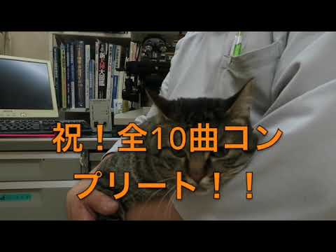 ＜サックスで吹いてみた＞ラヴ・スコールLove Squall＜ゴーゴー淳さん＞10曲コンプ達成記念！