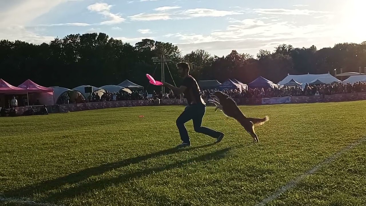 Simone & Trouble USDDN WF 2022 Super Open