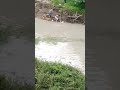 Catfish fishing somewhere in manipur india