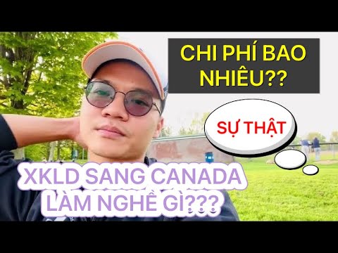 Hàng đầu 9 Công ty Xuất khẩu Lao động tại Lâm Đồng về Chất lượng Đào tạo và Hỗ trợ