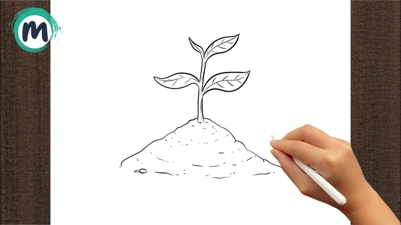 How to Draw Sprout - YouTube
