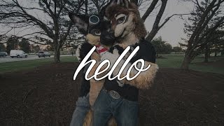 Hello A Furry Story