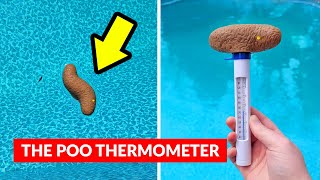 The Poo Thermometer