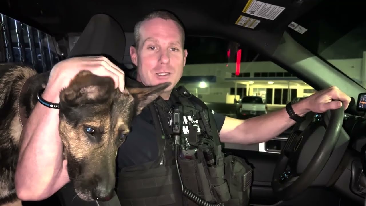 Tallahassee Police Virtual Ride Along - Sergeant Smith & K9 Evo (formerly featured on Live PD)