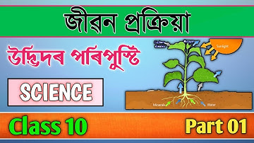 Class 10 Science Chapter 6 Life Process in Assamese | SEBA | Let