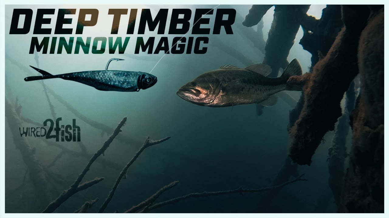 Beau Browning’s Minnow Tactics for Deep Prespawn Bass