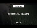 Amostragem de pasto - Marcelo Ramos