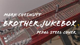 Video thumbnail of "Mark Chesnutt - Brother Jukebox (Pedal Steel Cover)"