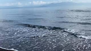 鹿児島県知林ヶ島・砂洲先端