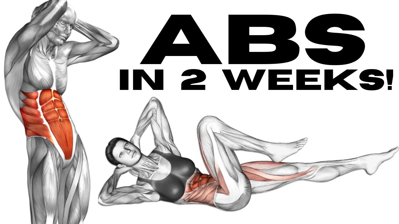 Abs in 2 Weeks Abs Workout Challenge YouTube