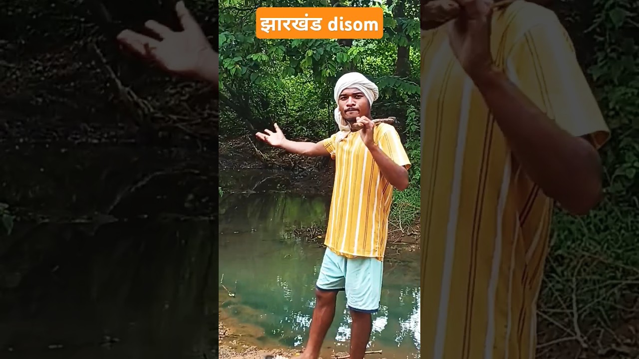 झारखंड disom santhali shorts 