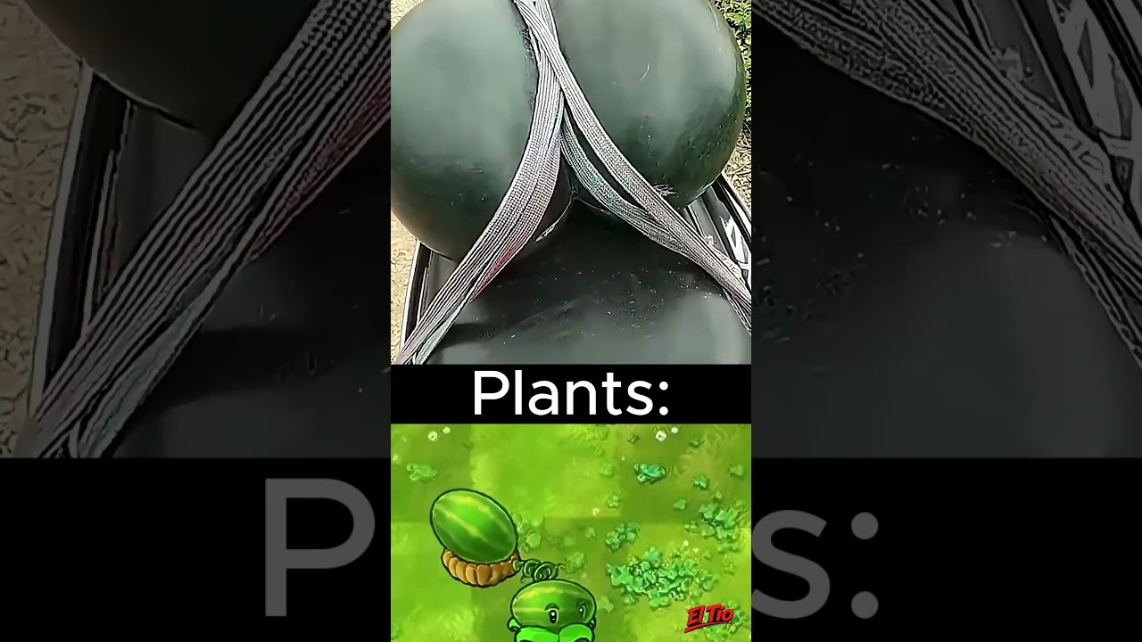 Plants vs Zombies pero en la vida real