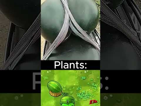 Plants vs Zombies pero en la vida real