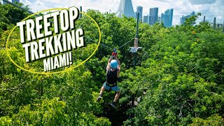 Treetop Trekking Miami In Jungle Island