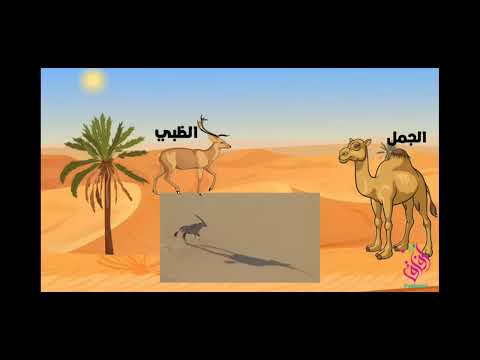 تنوع الاوساط البيئية الصحراء