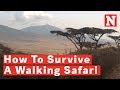 How To Survive An African Walking Safari - On Foot?