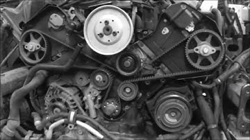 Audi Timing Belt 2 8L