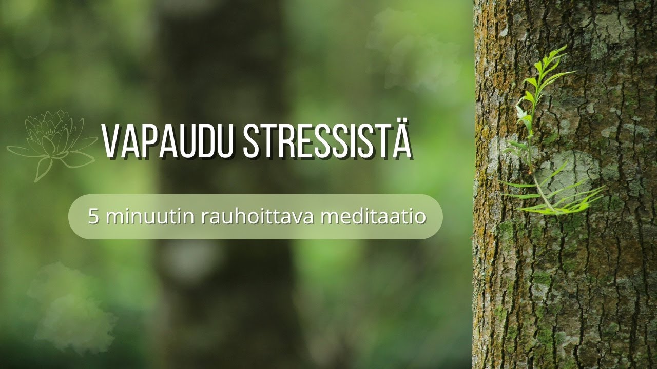 Rauhoittava meditaatio stressin lievittämiseen🌿
