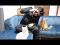 猫とヤンキー