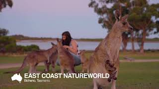 East Coast Natureworld | Bicheno Tasmania (NECI)