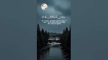 تلاوة خاشعة مؤثرة 🤍 يا يحي خذ الكتاب 📖 سورة مريم 🌿