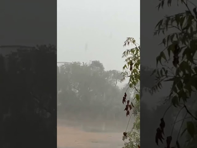 #shorts #shortsvideo #fx  mazhai mazhai🌧️heavy rain in Tirunelveli class=