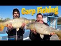 Grandes PESCADORES de las CARPAS. Carp Fishing