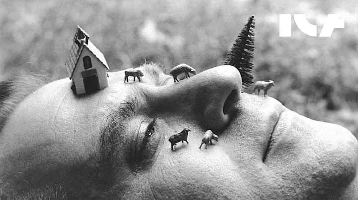 Unpredictability and the Cat: Luis Camnitzer on Ar...