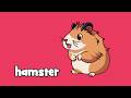Learn Pet Vocabulary | Talking Flashcards