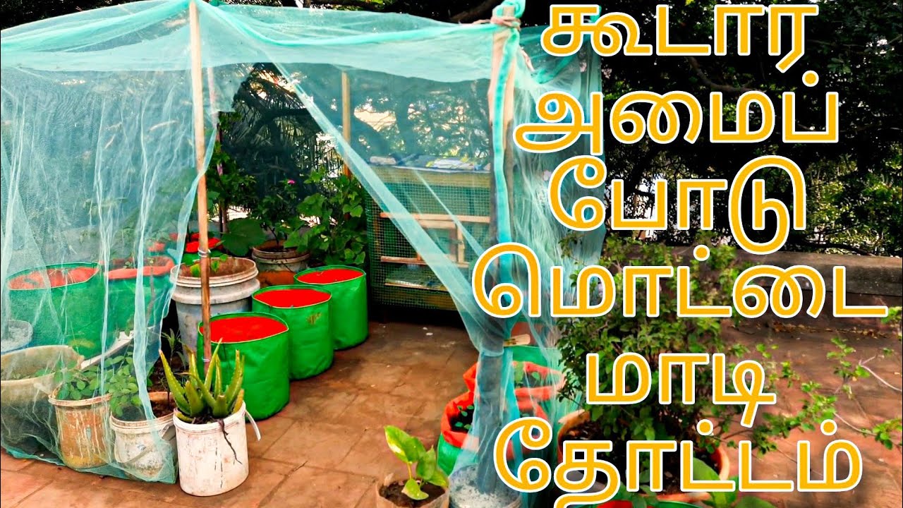 Terrace Garden with Tent setup