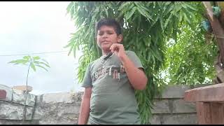 31 Districts of karnataka