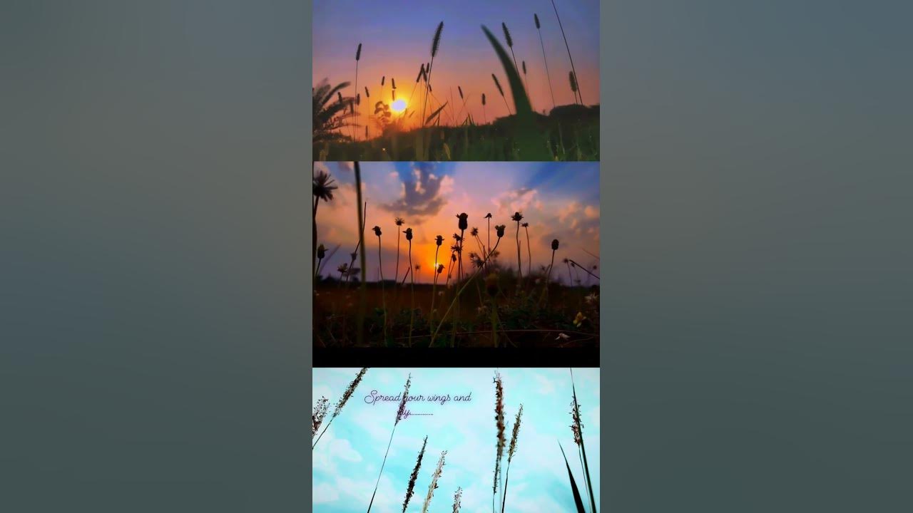 sunrise x sunset status. aap na bana le song status. #viral #arijitsingh #shortsfeed #shorts #like