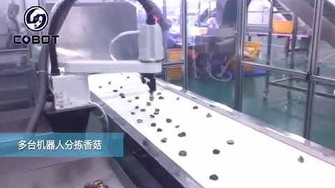 The 1st generation of mushroom sorting machine using deep learning