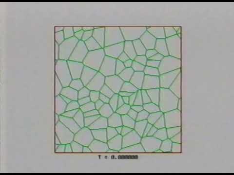 Two Dimensional Grain Growth with the Surface Evolver, Ken Brakke. (Geometry Center)