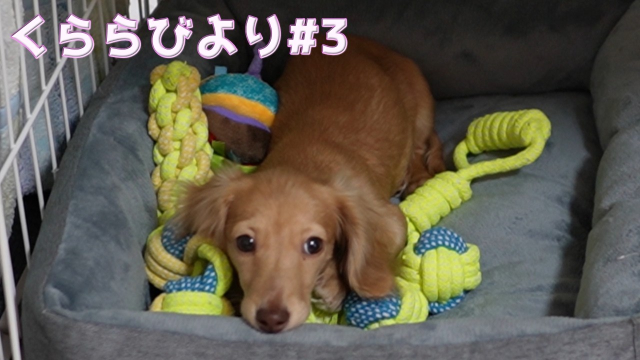 くららびより#3　少し慣れてきたよ♪