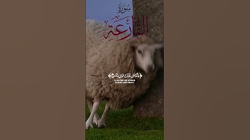 #سورة #القارعة الشيخ #خالد_عبدالرحمن الشنو #رمضان #التراويح #قران #خالد_الشنو #CapCut  #quran