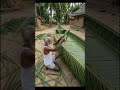 Amazing Coconut leaf Boat Craft 🌿 #handcrafted #leafart #shorts #coconutleaf