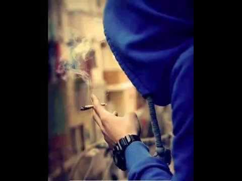 دايما دموع حماده هلال