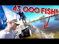 Stocking My Private Lake With 43,000 Fish!!