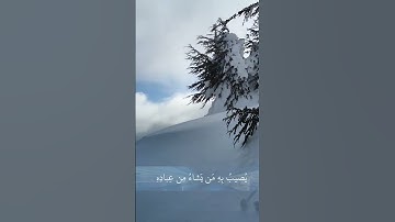 وإن يَمْسَسْكَ اللّه بِضُرٍّ فَلا كاشف له إلا هو..#سورة_الأنعام #ارح_سمعك #تلاوة_خاشعة #ياسر_الدوسري