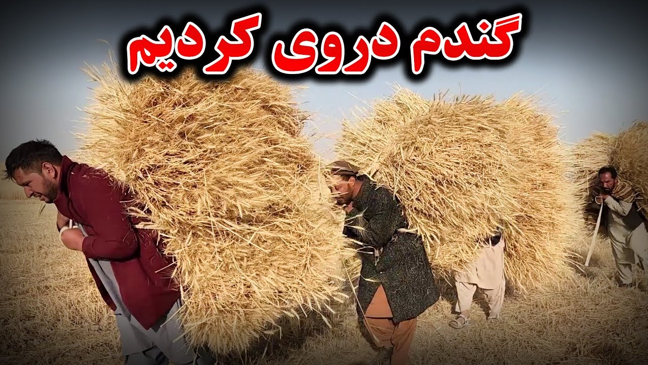 شب در زیر خیمه در دشت خواب کردیم